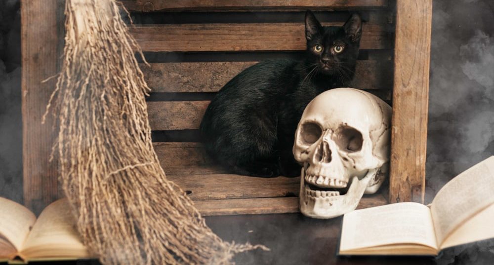 Zwarte katten en bijgeloof: heksen en de middeleeuwen