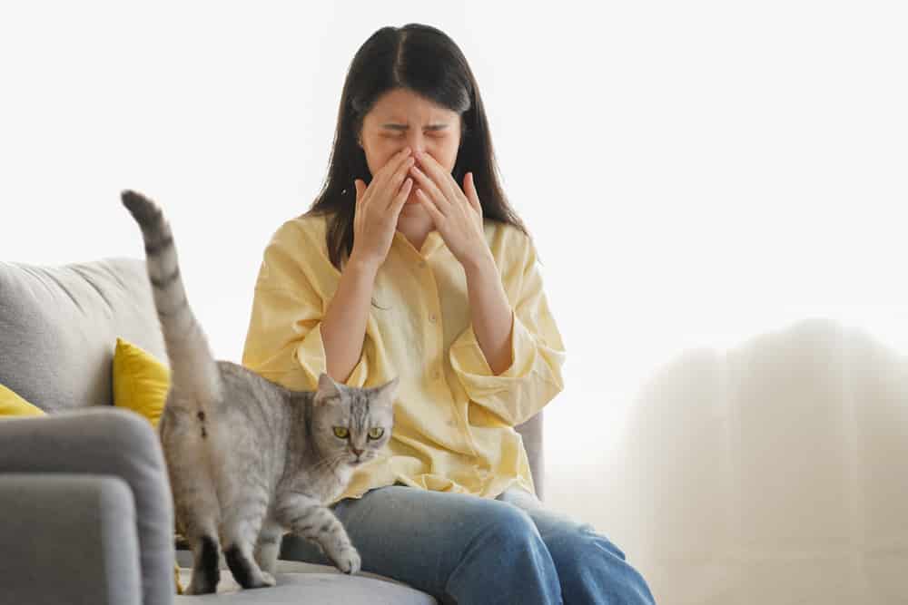 Kattenurine stinkt extreem - de geur is moeilijk te verwijderen