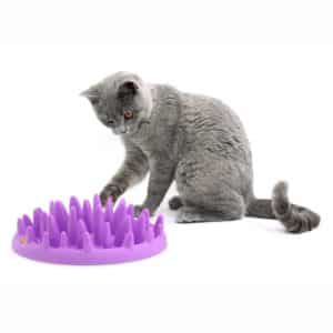 Anti-sling bowls voor katten zorgen ervoor dat je kat langzamer eet.