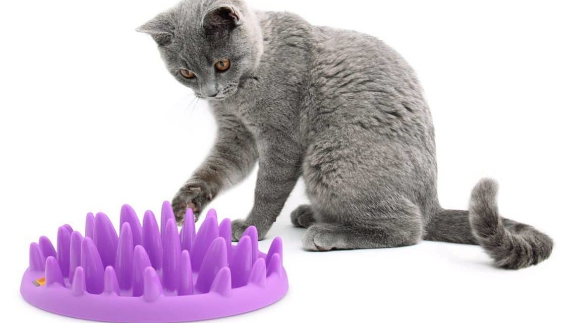 Anti-sling bowl voor katten