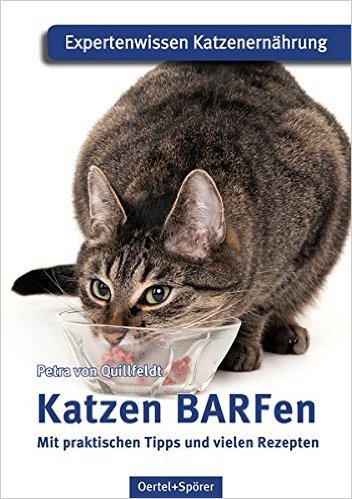 Cats BARFen Boek