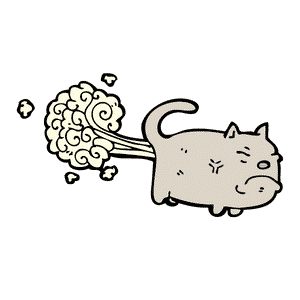Kat met winderigheid als gevolg van lactose-intolerantie
