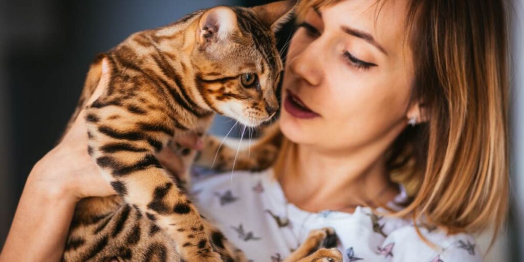 Hoeveel aandacht hebben katten nodig? Een dierenarts legt uit. - De